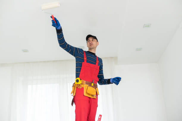 Best Residential Painting  in Whitehall, WI